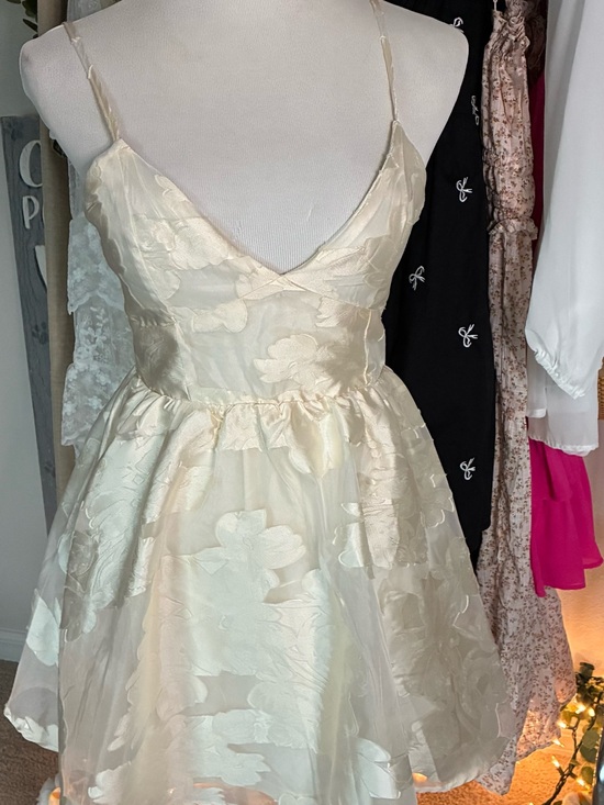 Altar'd State Dresses & Skirts - Altar'd State Ivory Floral Jacquard Mini Dress
